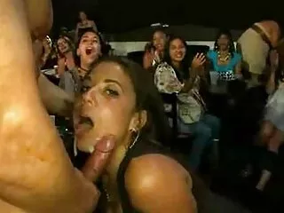 ახალგაზრდა მოსწავლეებმა აღიარეს ორიენტაცია ერთმანეთთან