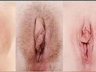 ის ლათინურს თავის კალთაში აყენებს